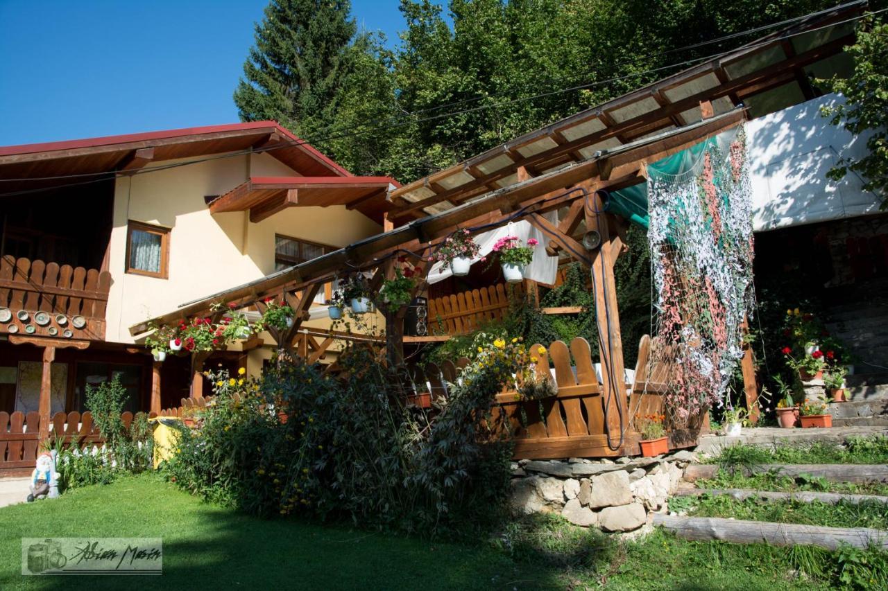 Cabana Suprema Armonie Dîmbovicioara Exterior foto